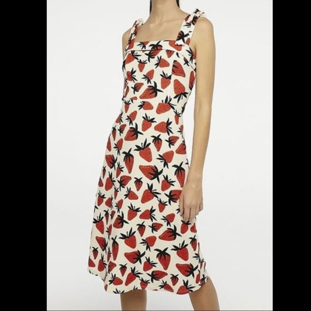Compañia Fantastica Strawberry Midi Sundress